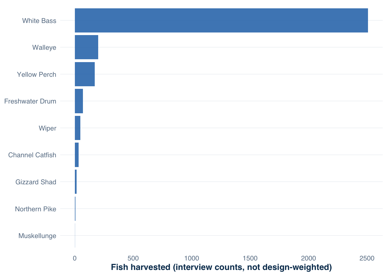 Horizontal bar chart showing fish harvest counts by species from the interview sample, ordered by total harvest.
